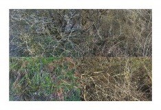 multicolore-paysage-soudes-copie2