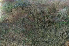 sitepiece-vide-mur-gris-plancher-bois17