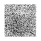 1_plot-curb-border-urbain-beton-ciment-ville-1