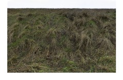 art-espace-manteau-terre-talus-nature-matiere-3