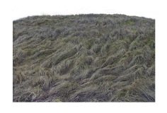 art-espace-manteau-terre-talus-nature-matiere-6