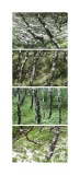 typologie_nature_art_espace_forme_couleur_paysage-32