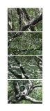 typologie_nature_art_espace_forme_couleur_paysage_2