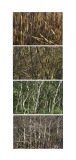 typologie_nature_art_espace_forme_couleur_paysage_34