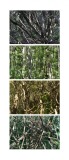 typologie_nature_espace_landscape_art-10
