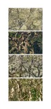 typologie_nature_espace_landscape_art-13