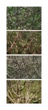 typologie_nature_espace_landscape_art-3