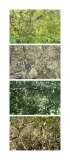 typologie_nature_espace_landscape_art-7