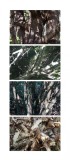 typologie_nature_espace_landscape_art-8