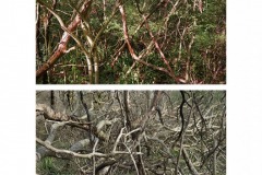 typologie_nature_espace_landscape_art-3