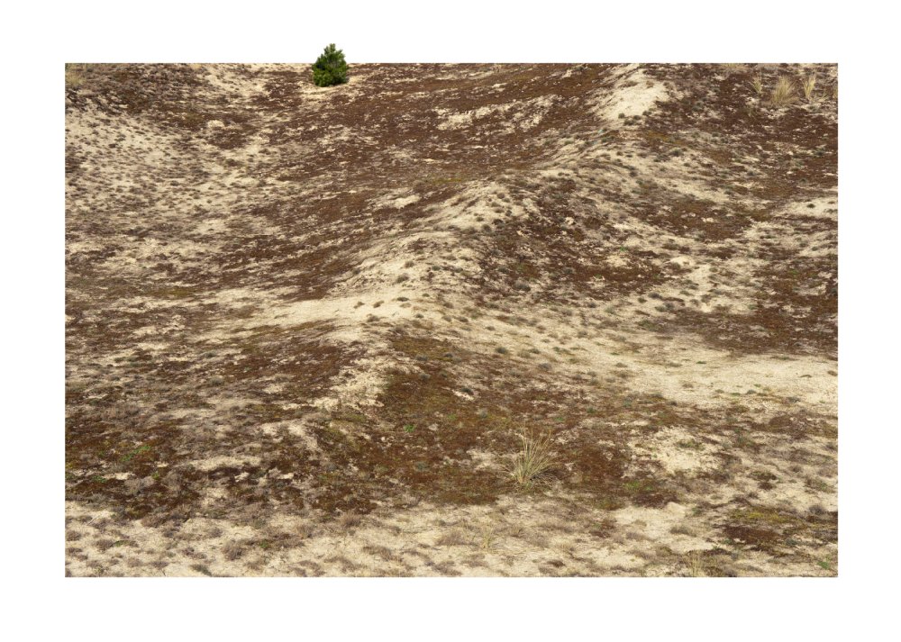 ART_abstraction_dune_ (2)